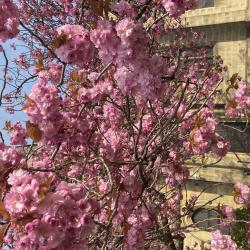 IMG_7740.jpeg